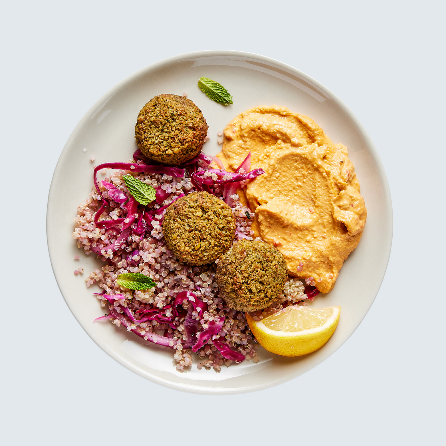 Falafel Dish